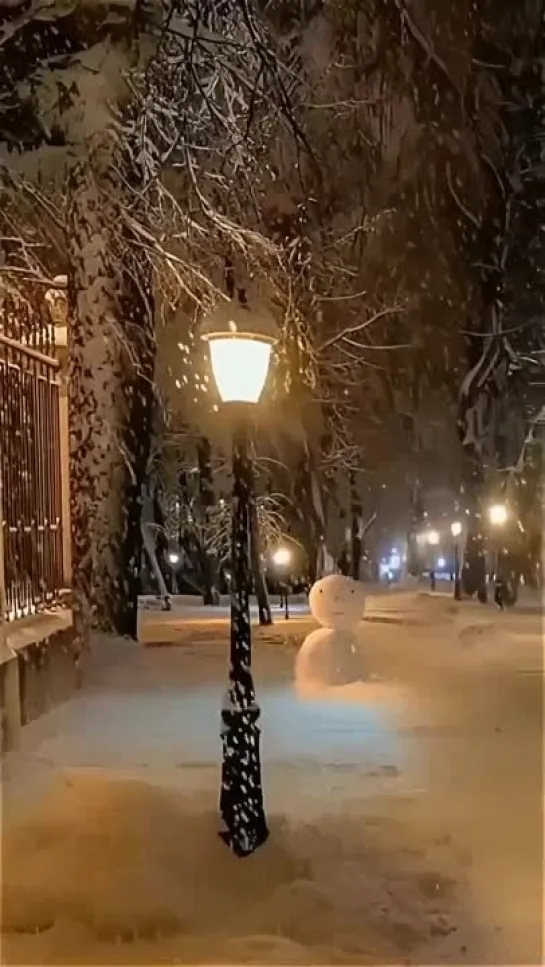 Видео от Женский дневник