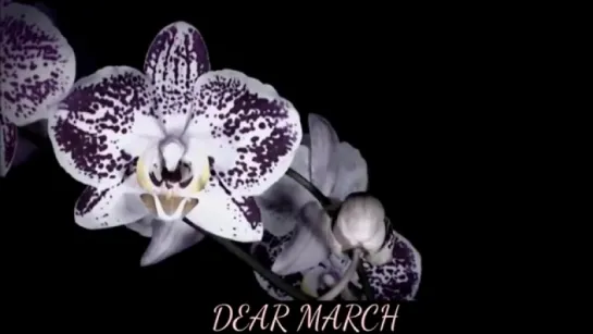 DENIM ~ Dear March