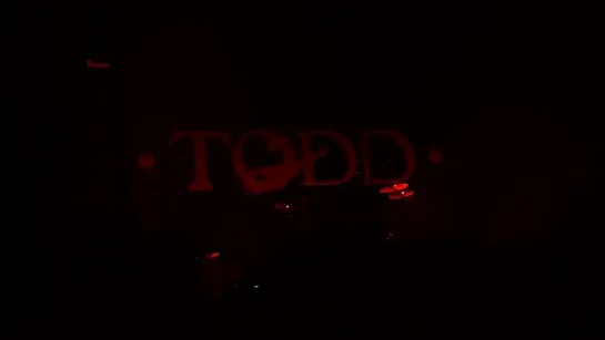 TODD - Счастье?/Грехи/На краю...