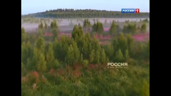 Технические неполадки (Россия-1, 30.08.2015)