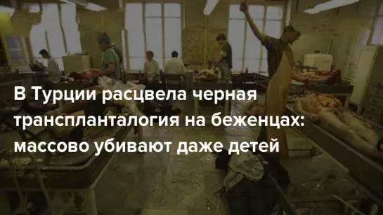 В Турции расцвела чёрная трансплантология на беженцах из Сирии. Массово потрошат даже детей