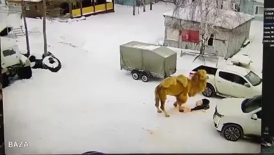 Видео от Евгения Бархударова