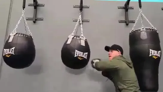 груша шар Everlast