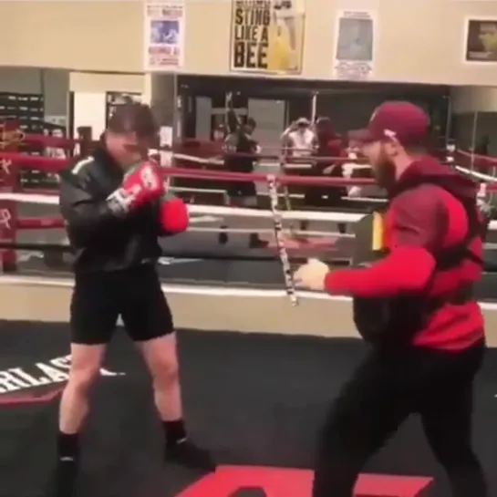 Saúl Álvarez Тренировка Жилет тренера Everlast