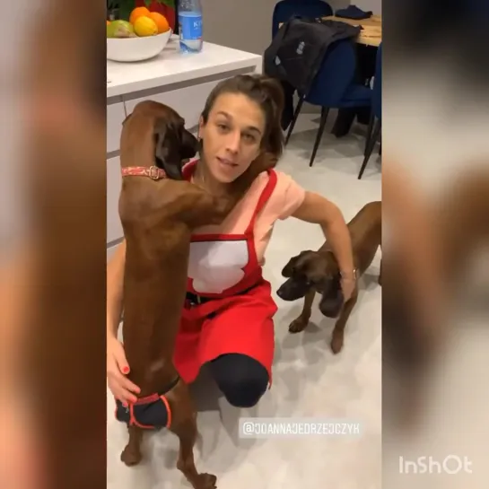 joanna & the dogs