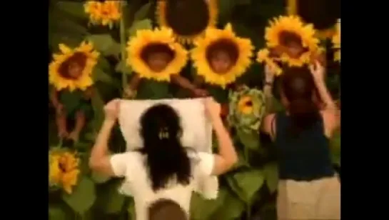 Anne Geddes Behind the Scenes - Sunflowers