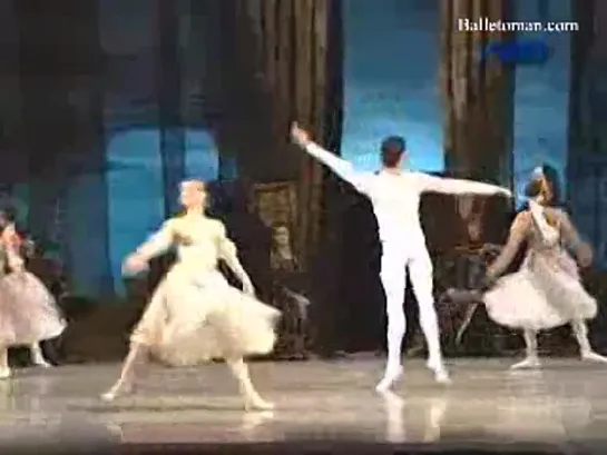 Swan Lake(N.Macak - D.Nedak)