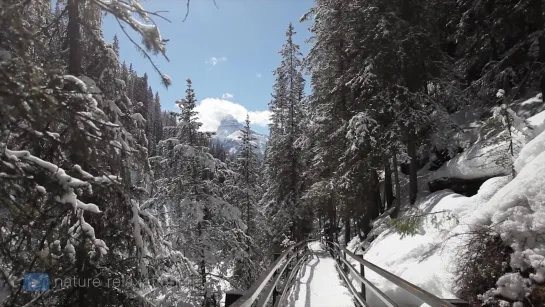 Peaceful Mountain Snow (Music) 1HR Nature Relaxation Film - Remastered in 4K