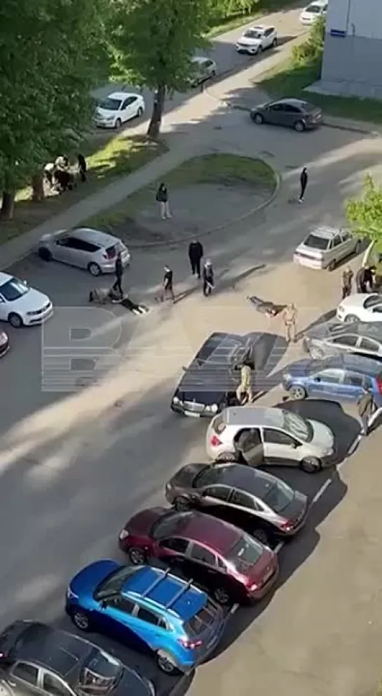 Видео от Владимира Горовца