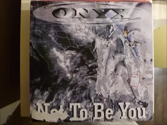 Onyx - Not To Be You