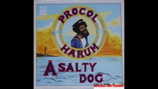 Procol Harum * 1969 - ' A Salty Dog ' alb