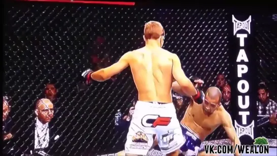 ★ TJ Dillashaw Highlights 2014 - The Way to the Belt