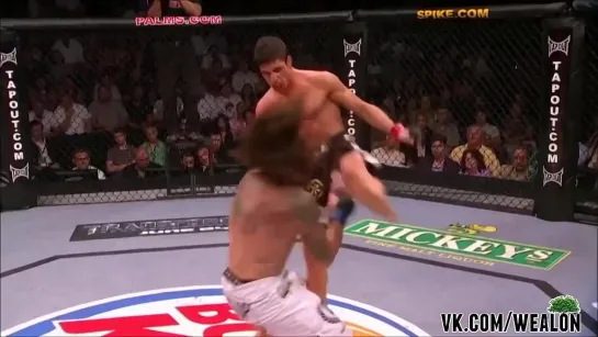 ★ Best of UFC - MMA Bad Boys going Crazy