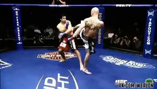 Donald Cowboy Cerrone - Highlight 2014