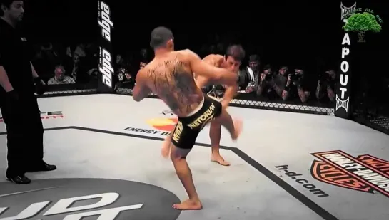 Renan Barao 2014 Highlight video