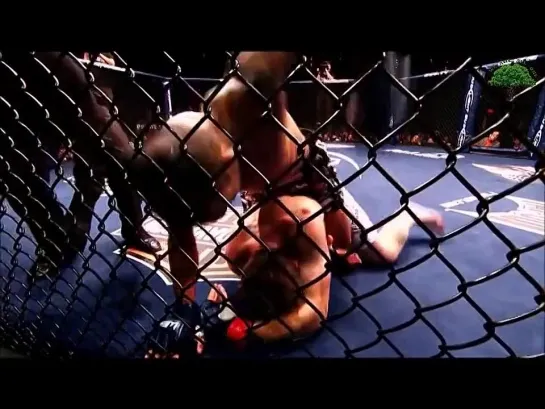 Jose Aldo Highlights 2014