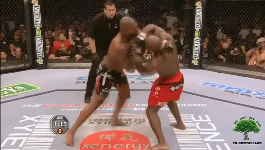 Beautiful MMA Highlight 2013-2014 [HD]