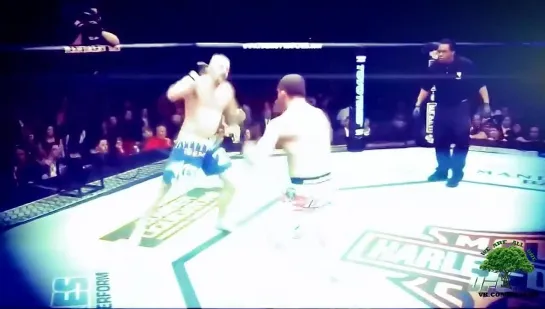 Wanderlei 'THE AXE MURDERER' Silva Highlight Reel 2014 ( 214K )