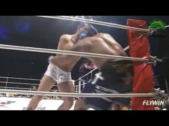 Why We Love Shogun by @FlyWinMedia -- 2014 Mauricio 'Shogun' Rua Highlight