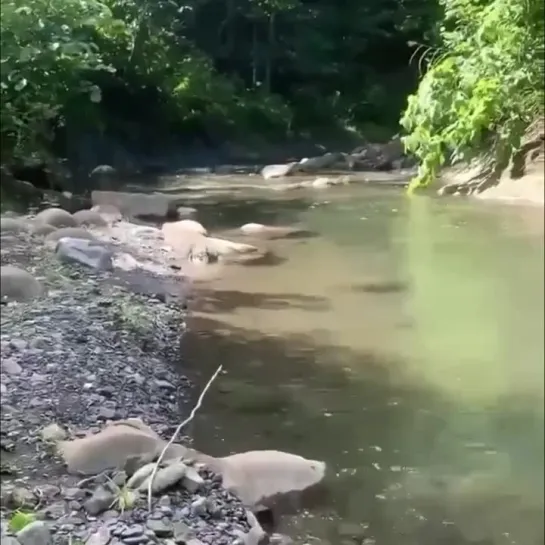 Видео от Говорящий Омск