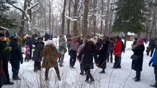 Масленица на Елагином. 18.02.2018. Танцуют все!