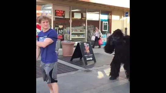 PET GORILLA PRANK!