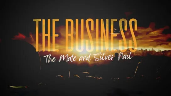 The Mate and Silver Nail - the Business (Video edit)