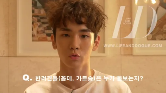 Key Lifendogue Interview