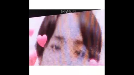 160130 SW in FUKUOKA - SHINee VCR 'SHINe Over Flowers'