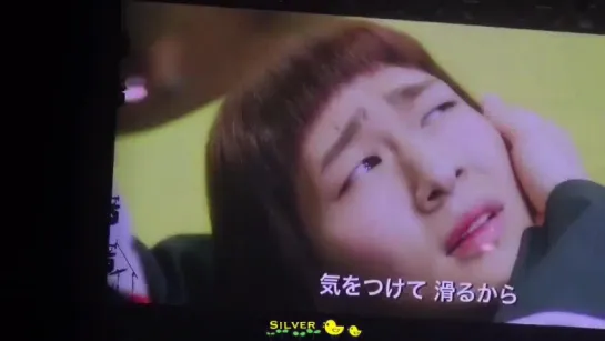 160130 SW in FUKUOKA - SHINee VCR 'SHINe Over Flowers'