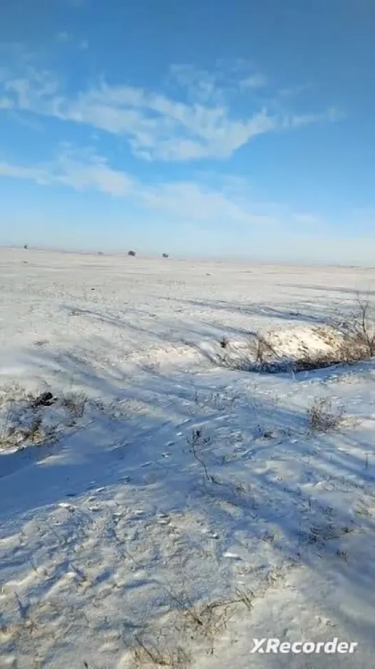 Видео от Владимира Киселева