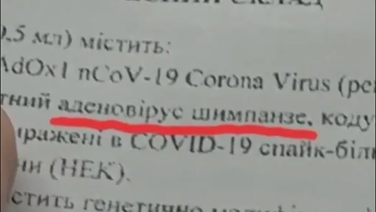 Что в вакцине от СOVID-19: аденовирус шимпанзе и ГМО-клетки (HEK-293)