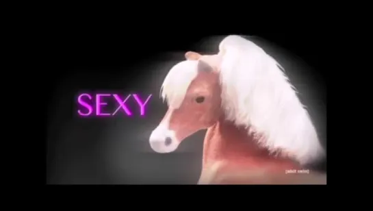 /abandobed | Horses Are Sexy _ Robot Chicken _ Adult Swim