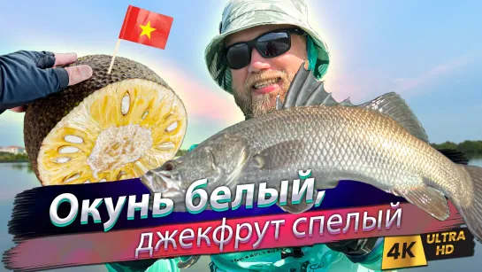 🇻🇳 Поклёвок масса, почему сходы? Дикая баррамунди в реке. Южный Вьетнам