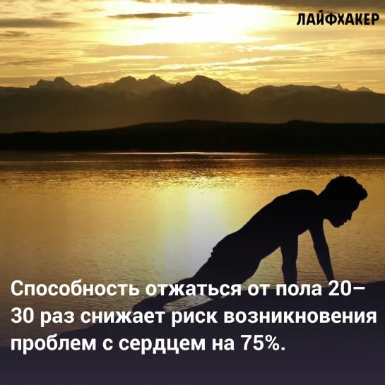 Сколько нужно отжиматься, чтобы быть здоровым: учёные назвали точное число