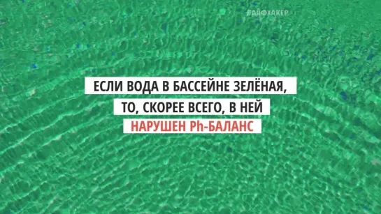 Почему вода в бассейне становится зелёной?