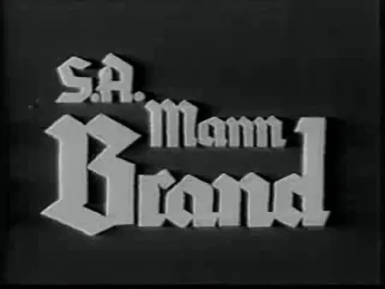 Штурмовик Бранд S.A Mann Brand Германия_1933