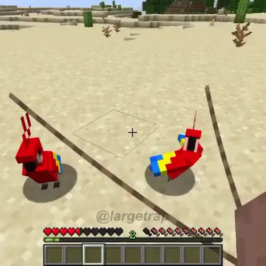 PARROT MINECRAFT