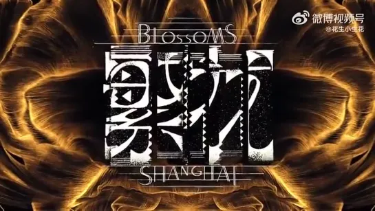 Teaser Blossoms Shanghai