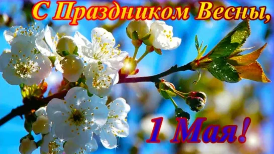 Красивое поздравление с 1 МАЯ! HD Видеооткрытка