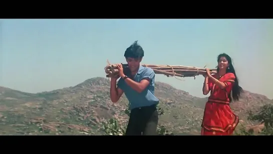 Akele Hain To Kya Gham Hai - Qayamat Se Qayamat Tak (1988)