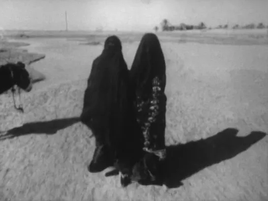 The Path of Oil / La via del petrolio (1967) dir. Bernardo Bertolucci