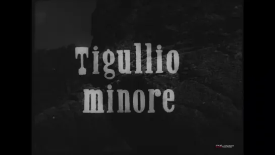 Tigullio minore (1947) dir. Dino Risi