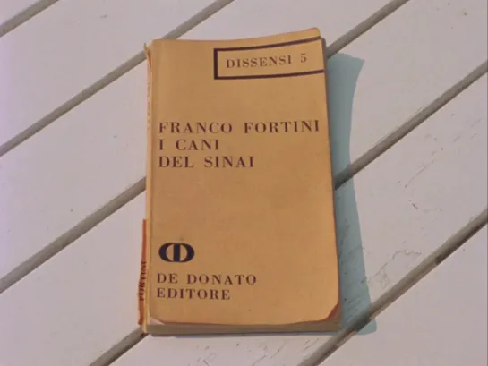 Fortini/Cani (Italy, 1976) dir. Danièle Huillet, Jean-Marie Straub