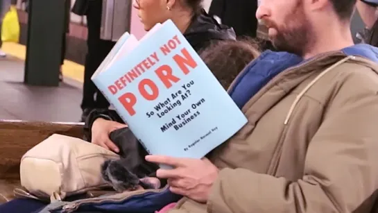 Taking Fake Book Covers on the Subway