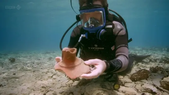 Город под водой. Павлопетри / City Beneath the Waves: Pavlopetri (2011)