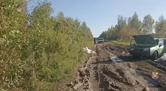 В Омской области женщина с тремя детьми съехала с того, что почему-то называют дорогой, в наполненный водой кювет. Все находивши