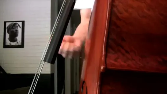 Red Hot Chili Peppers - Cant Stop Upright Bass Cover