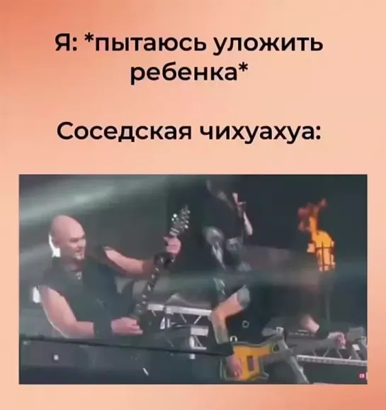 Video by Пикабу Видео