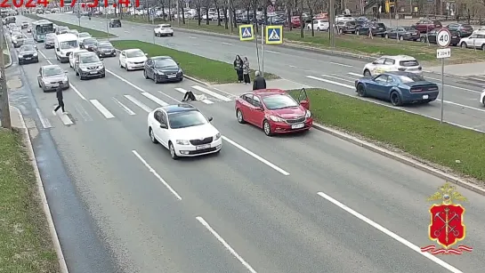 Школьник-камикадзе переходит дорогу в Петербурге